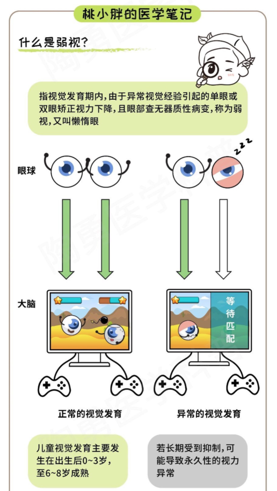 但弱视眼不同