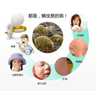 过敏性鼻炎哮喘元凶吸入性过敏原尘螨过敏