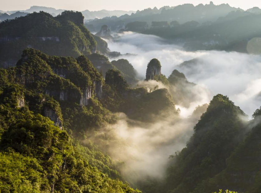 贵州深山中的绝美奇峰,景色和黄山有一拼,被评为世界自然遗产地