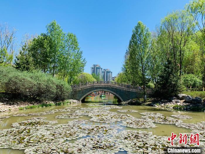 西宁市人口_2017年西宁市各区县常住人口排行榜 市区总量最大 城西区城镇化率(2)