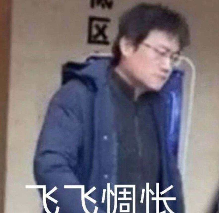 时代峰峻飞总表情包 李飞人李飞魂 李飞旗下你男人