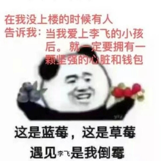 时代峰峻飞总表情包 李飞人李飞魂 李飞旗下你男人