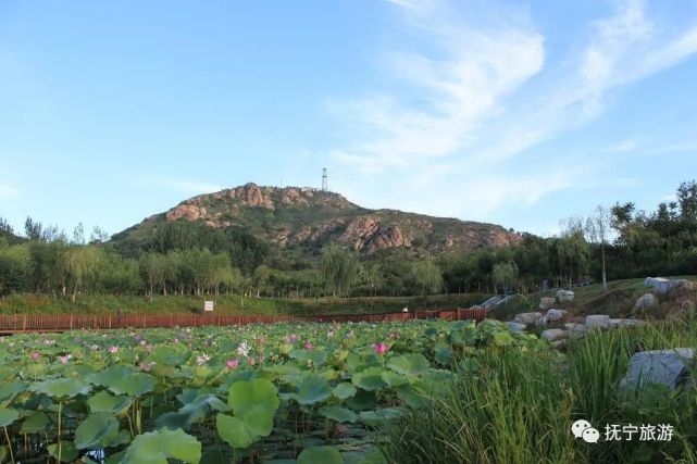 紫金山犹如山水玉屏护佑着抚宁这块风水宝地,点缀得小城越发灵秀俊美.