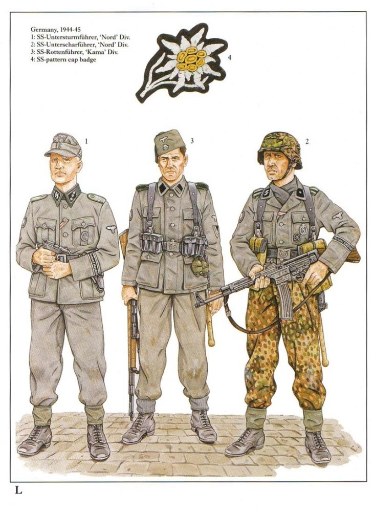 l:德国,1944年-45年l1:党卫队三级突击队中队长,党卫军第6"北方"山地