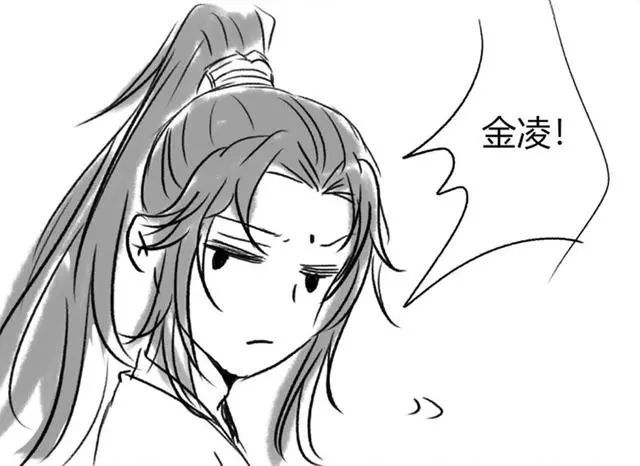 《魔道祖师》江澄变成了小孩子,被魏无羡捏脸,金凌借仙子一用!