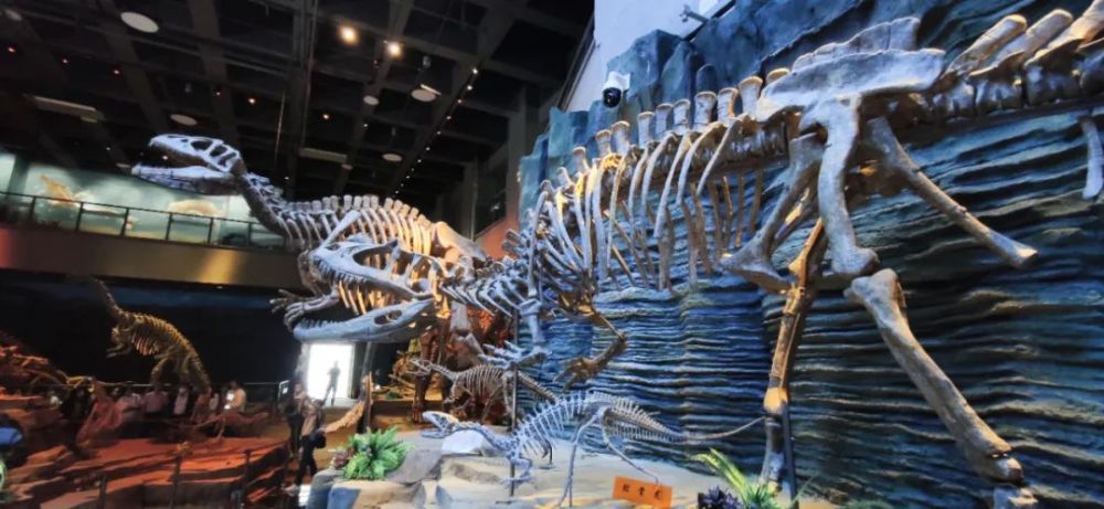 【关注】吉林日报:延吉恐龙博物馆成为旅游新地标