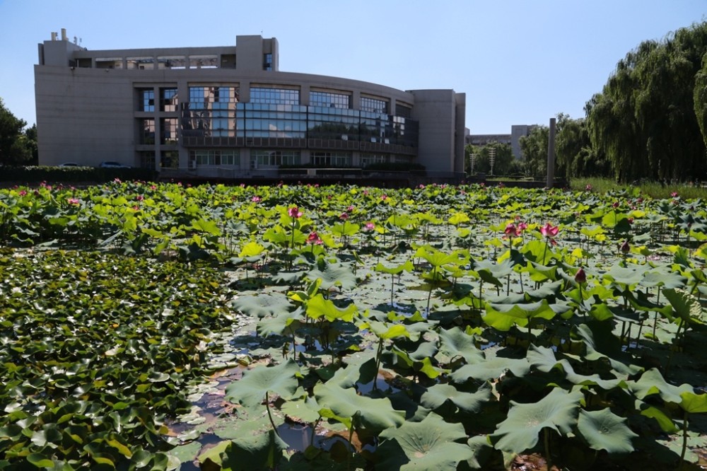 【高校招生季】西安邮电大学校园风光