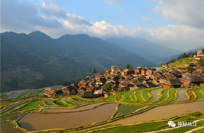 6月份去从江加榜梯田旅游,从江美景等着你!