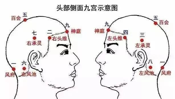 人体穴位图:全身各个部位精准穴位图