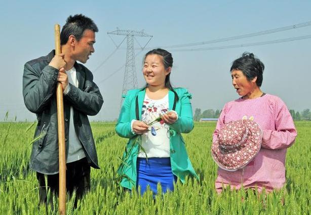 "城市留不下,农村回不去,农二代大学生的辛酸现状,引人深思