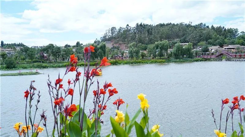 赏花亲水,荷塘野趣……楚雄东华湿地公园许你一个缤纷
