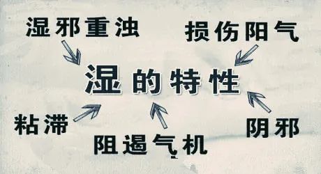 湿气是什么?湿气在身体的哪个部位?艾灸祛湿效果最好?