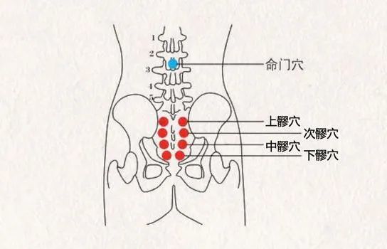 患者肾阳不足在命门穴,曲骨(耻骨联合),次髎(骶髋关节)出现压痛,这些