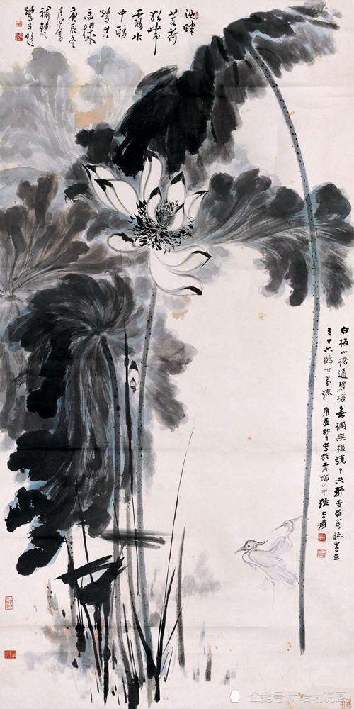 南张北溥合绘荷塘美景,水墨国画《荷花鹭鸟》