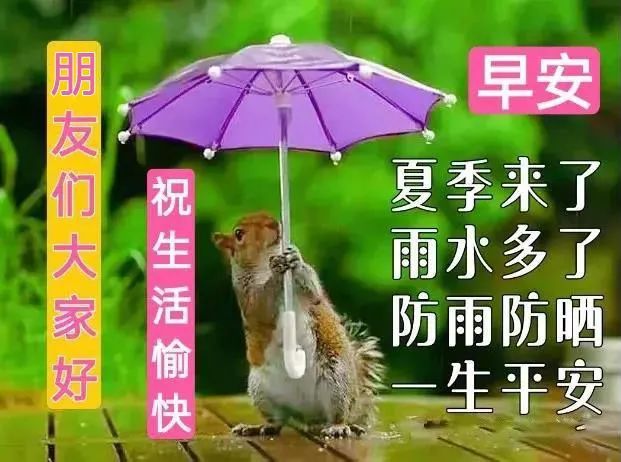 每日早晨祝福语简短问候句子 特别漂亮的早上好快乐祝福语图片带字