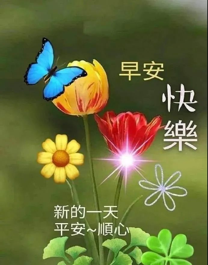 每日早晨祝福语简短问候句子 特别漂亮的早上好快乐祝福语图片带字