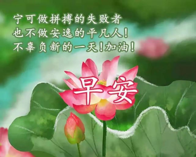早安吉祥!