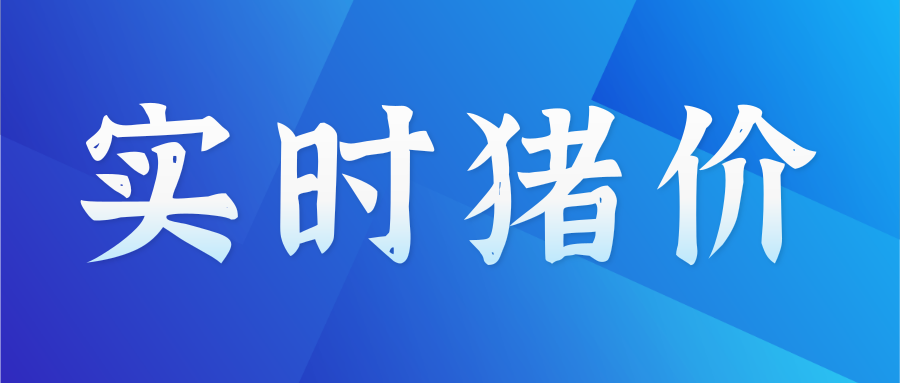 涨涨涨猪价全线大飘红2021625明日猪价