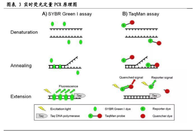 应用荧光染料:sybr green:在 pcr 反应体系中,加入过量 sybr 荧光染料