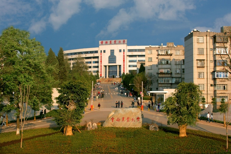 云南院校排名_云南院校代号本科(3)
