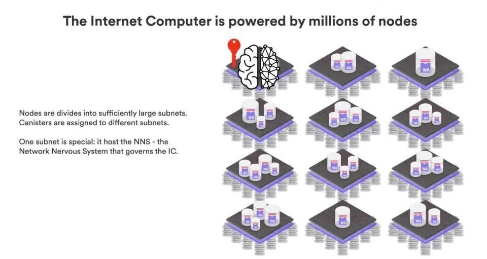它负责维护互联网计算机的治理系统,也就是网络神经元系统(nns
