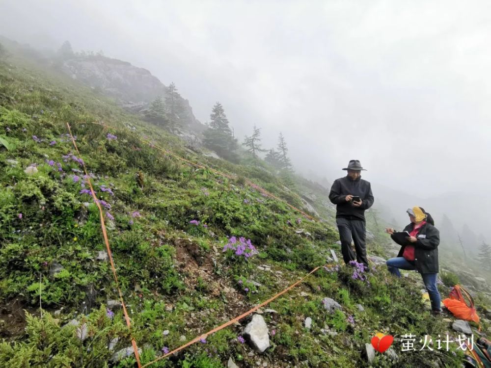 大象可以跑,植物怎么办?他花数千万为珍稀植物建避难所