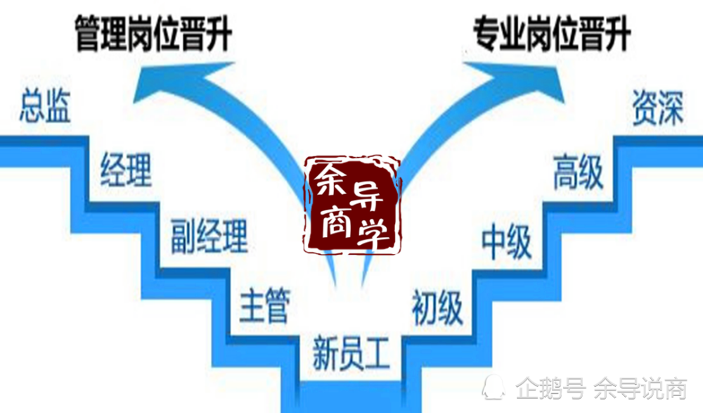 和技术晋升,在这两个不同的晋升路径里面,都对应着不同的 级别和职位