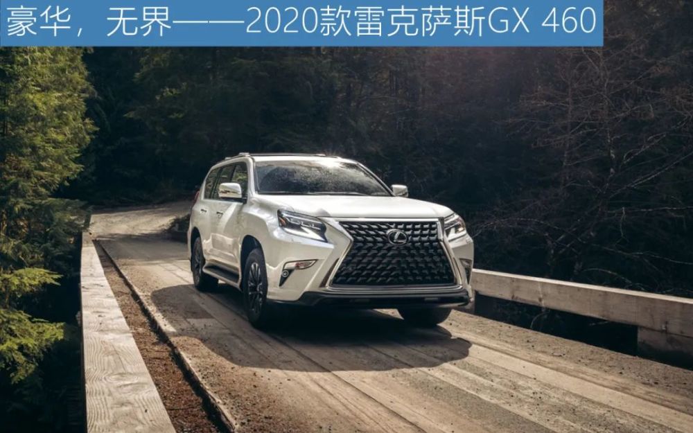 豪华,无界——2020款雷克萨斯gx 460