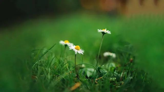 懂得珍惜,才配拥有