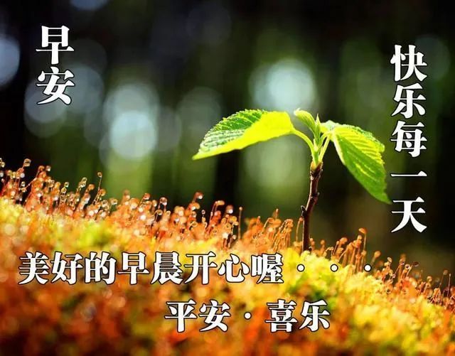 9月9日早晨问候语祝福语 早安简短的早上好祝福语