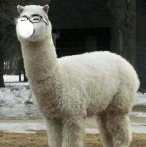 30张搞笑图片,都是你没看过的