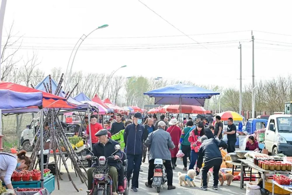 地址:北京市房山区田家园村田园路到房窑路.