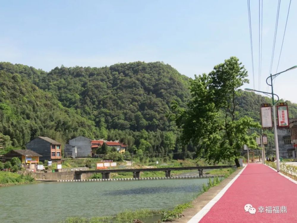 溪水潺潺,青山苍翠,福鼎市革命老区基点村前岐镇黄仁村就藏在这青山