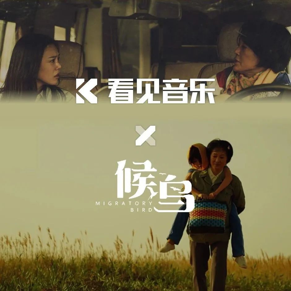 看见音乐为电影《候鸟》获《潇洒走一回》词曲授权,帮助获取版税