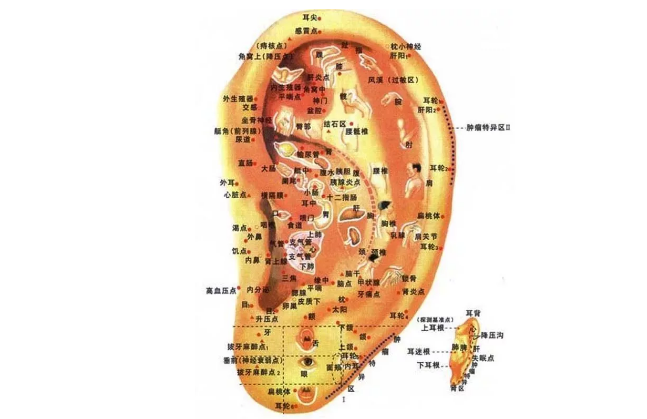 揉耳朵法:食指,中指,拇指柔外耳廓,从上往下2分钟.