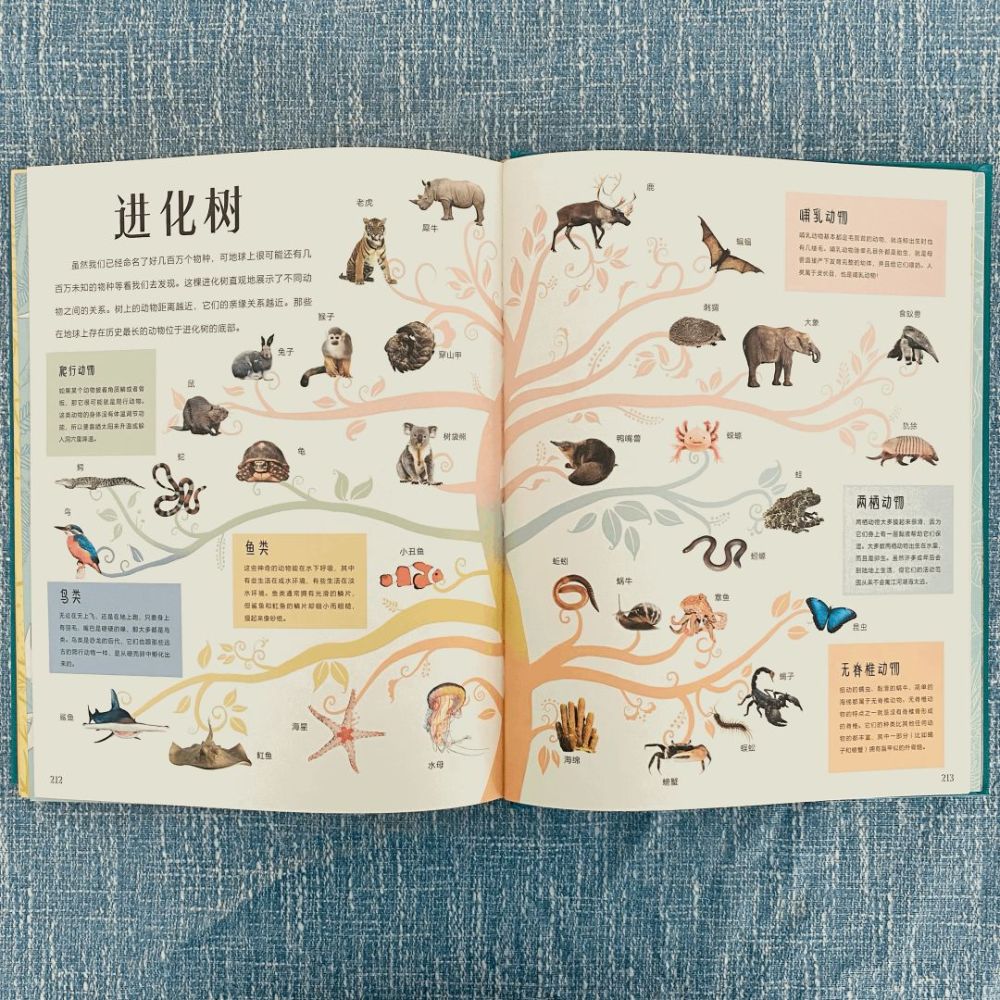 《三只小猪》:大灰狼用力过猛,把第一只小猪吹出了画面,接下来的一幕