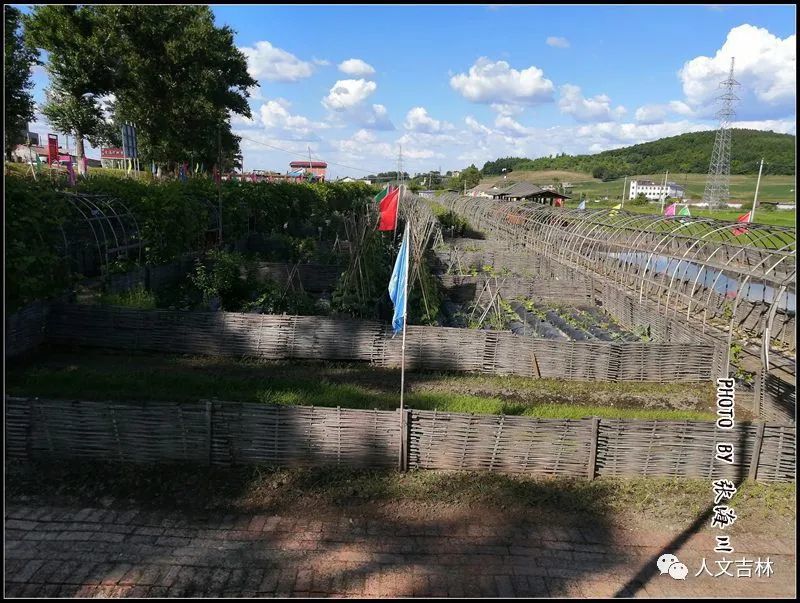 走进吉林市龙潭区江密峰镇唐房村|寻访吉林美丽乡村行