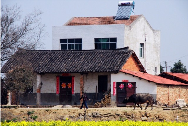 农村俗语"宁住披头房,不住露骨屋,何谓披头房与露骨屋?_腾讯新闻