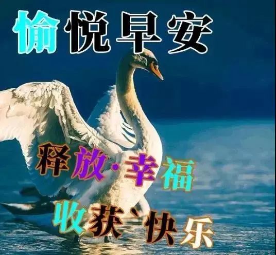 中老年表情包,相逢是缘,平安是福!