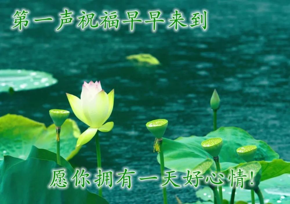 清晨早上好最美动态祝福图片带字,温暖早安心语温馨祝福图片