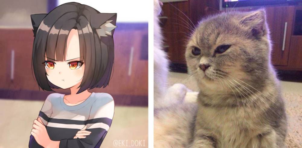 猫咪拟人#动漫