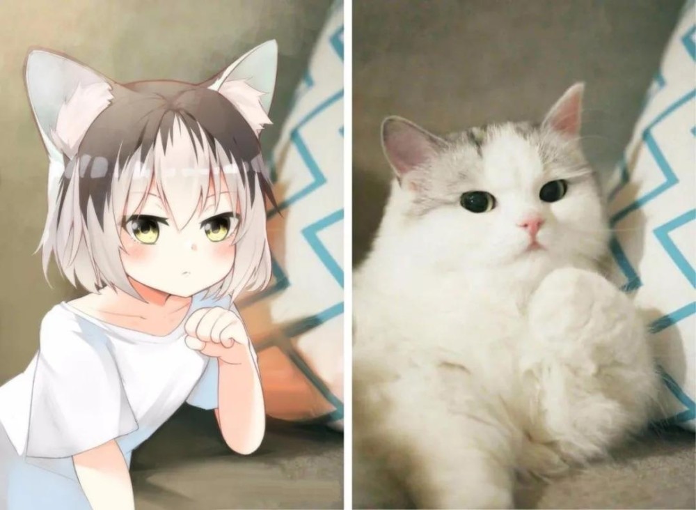 猫咪拟人动漫