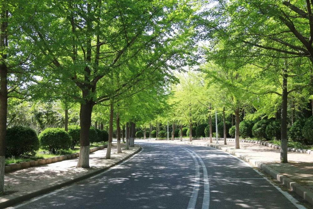 为什么要报考东北财经大学