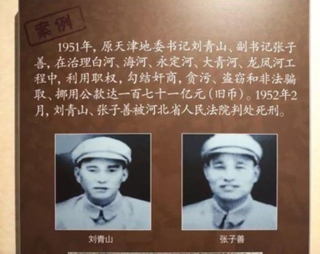 有人花3亿多买豪华轿车,毙了|中共中央华北局|增产节约|张子善|刘青山