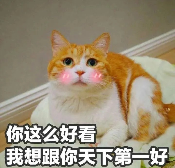 猫咪表情包来一波敲可爱的猫咪表情包啵