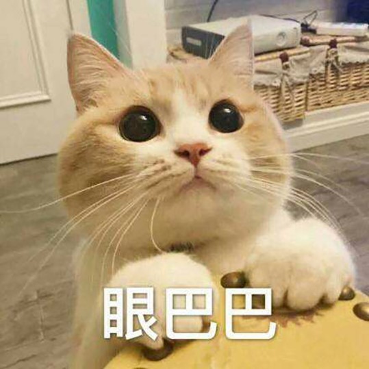 "猫咪表情包"来一波敲可爱的猫咪表情包啵