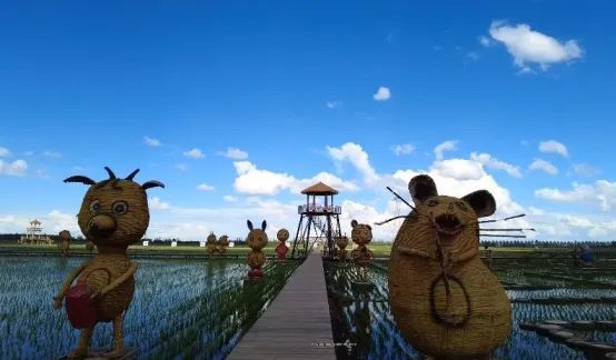 黑河市爱辉区:稻田公园升级归来 体验农业"玩"出"钱"景
