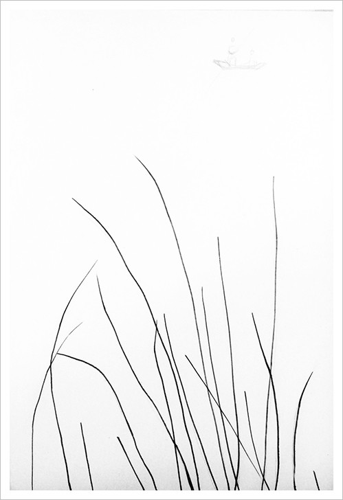 超级简单的钢笔风景画又来啦!画一次就会了,一起来画芦苇吧!