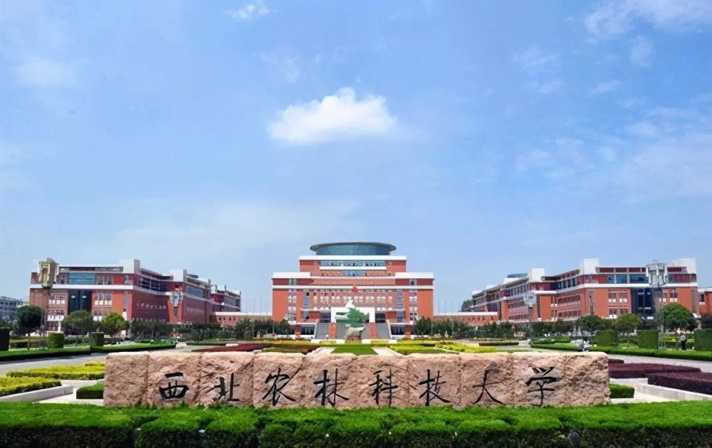 3.中国科技大学