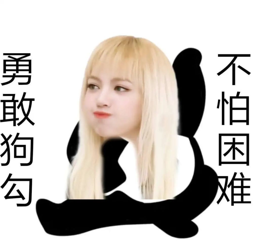 勇敢班崽不怕困难lisa表情包